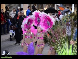 Carnaval de Mula 2013