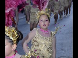 Carnaval de Mula 2013