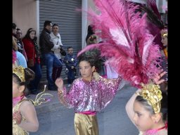 Carnaval de Mula 2013