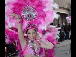 Carnaval de Mula 2013