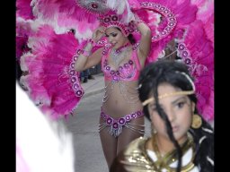 Carnaval de Mula 2013