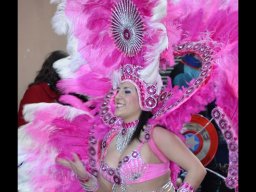 Carnaval de Mula 2013