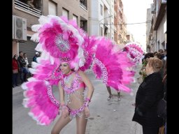 Carnaval de Mula 2013