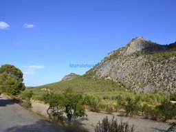 Casas Nuevas 2012