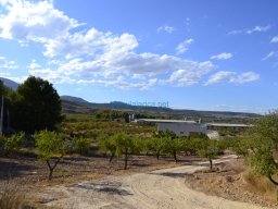 Casas Nuevas 2012