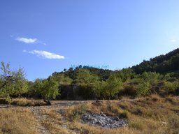 Casas Nuevas 2012