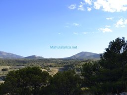 Casas Nuevas 2012