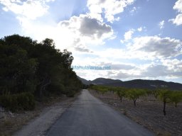 Casas Nuevas 2012