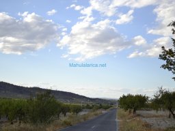 Casas Nuevas 2012