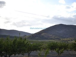 Casas Nuevas 2012