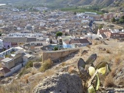 Castillo de Alhama 2008