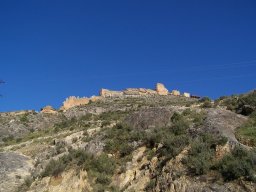 Castillo de Pliego 2009