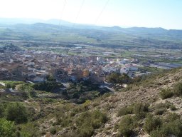 Castillo de Pliego 2009