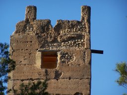 Castillo de Pliego 2009