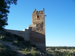 Castillo de Pliego 2009
