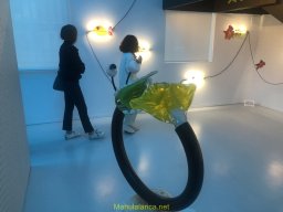 Exposición de Flyppy 2023