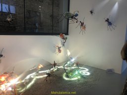 Exposición de Flyppy 2023