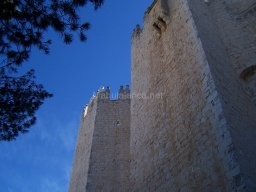 Castillo de Velez-Blanco 2010