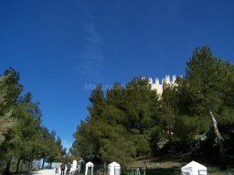 Castillo de Velez-Blanco 2010