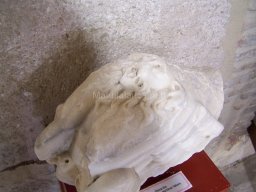 Castillo de Velez-Blanco 2010