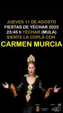 fiestas-de-yechar-2022-6