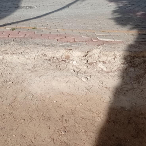 418505332_693986609530778_2868229538957182055_n