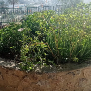 419635777_693986616197444_2798019518142579252_n