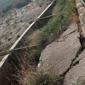 419643389_693986469530792_897029653694812181_n