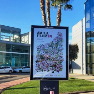 422357747_774156374756697_1605113343036750579_n