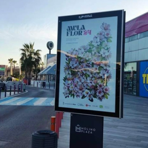 422367328_774156394756695_1252930569096878760_n