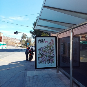 422371008_774158381423163_8540777382815594248_n