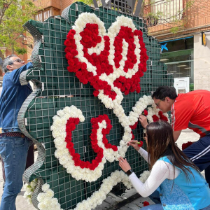 bullas constumbres (3)